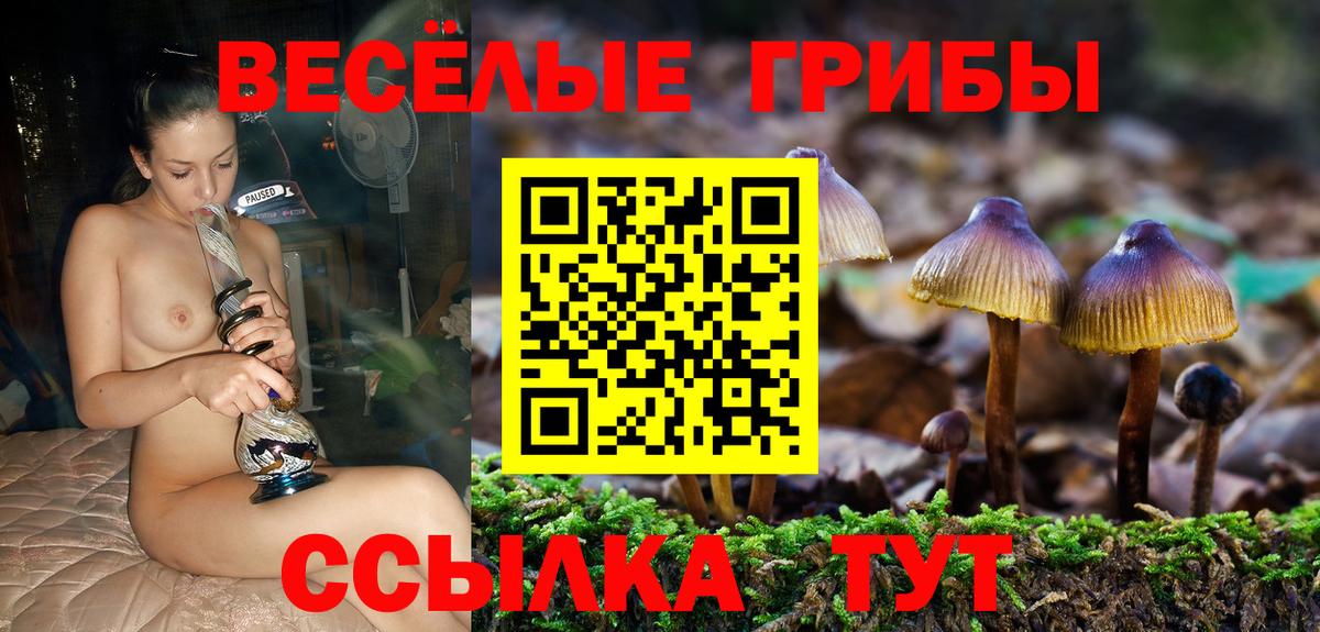 Галлюциногенные грибы Magic Shrooms Ейск